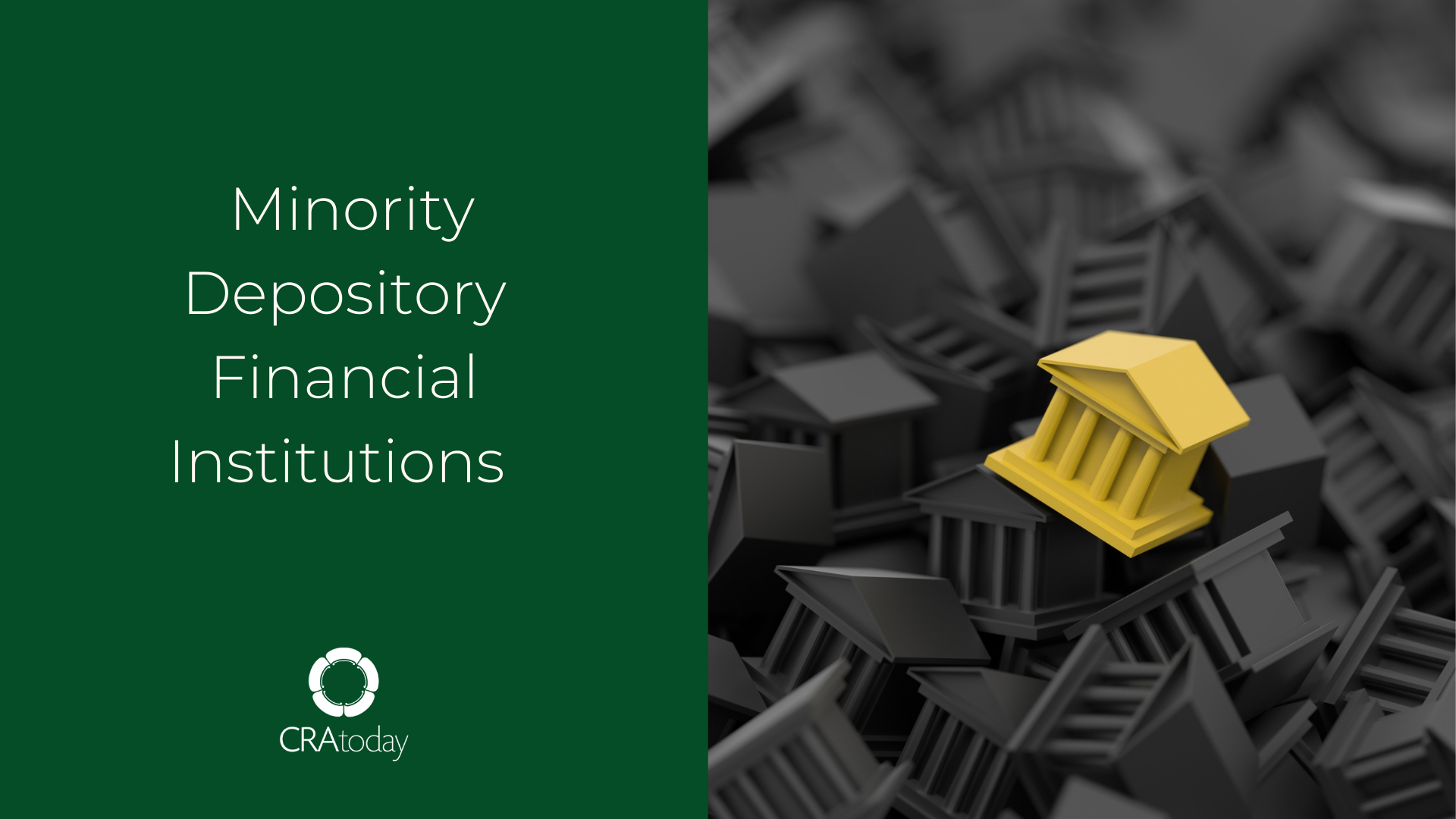 Minority Depository Financial Institutions